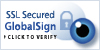 Wildcard SSL Certificates